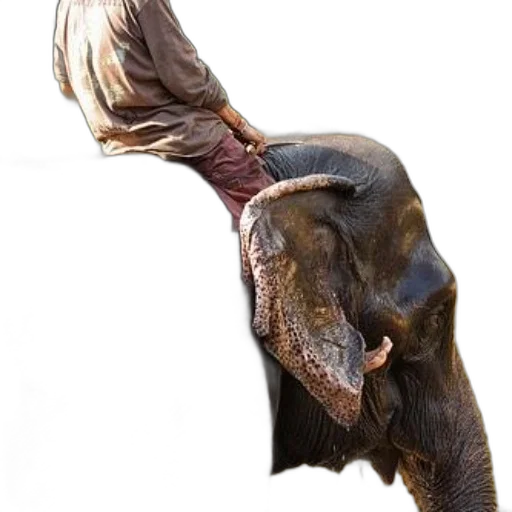 animal, staff, mask, creature transparent PNG cut-out