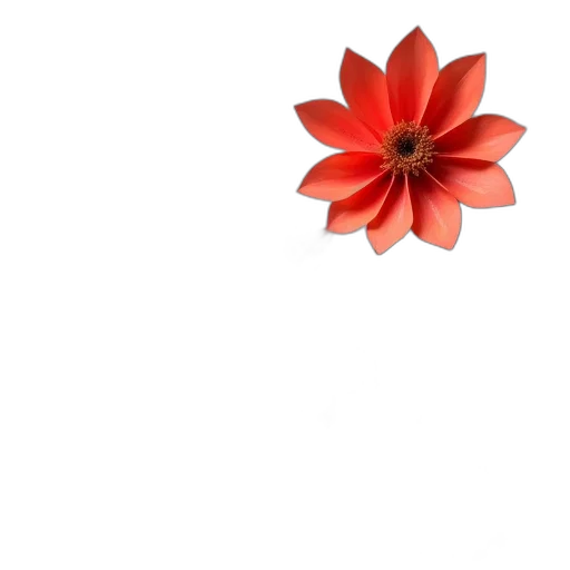 flower, jewelry, crown, umbrella transparent PNG cut-out