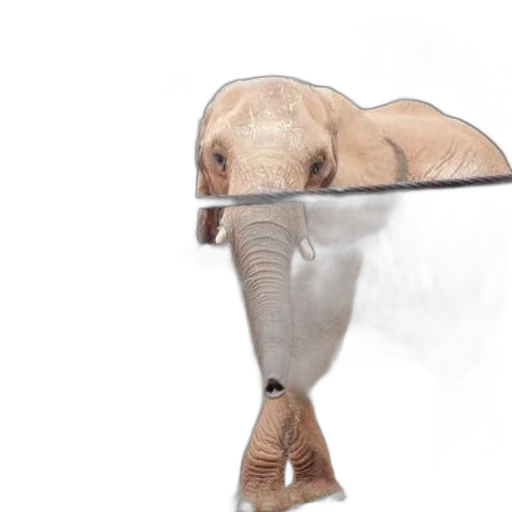 animal, creature, staff, furniture transparent PNG cut-out