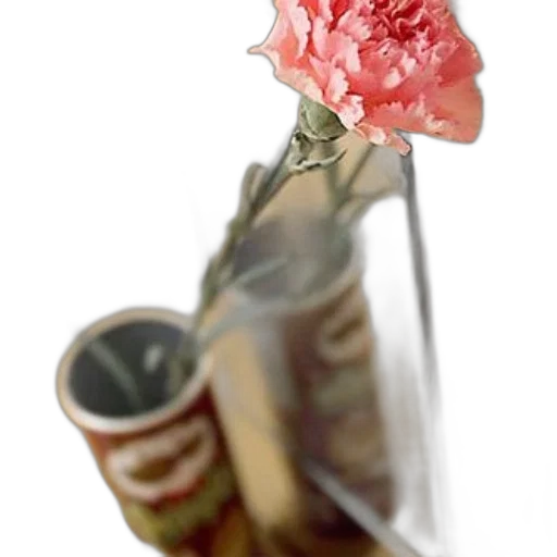flower, bottle, jewelry, weapon transparent PNG cut-out