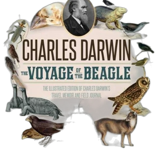 voyage, beagle, illustrated, edition transparent PNG cut-out