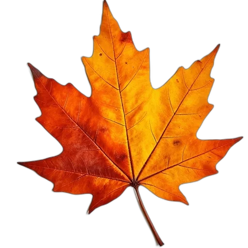 tree, crown, photorealistic, earth tones transparent PNG cut-out