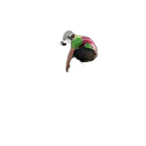 hat, creature, shoes, animal transparent PNG cut-out
