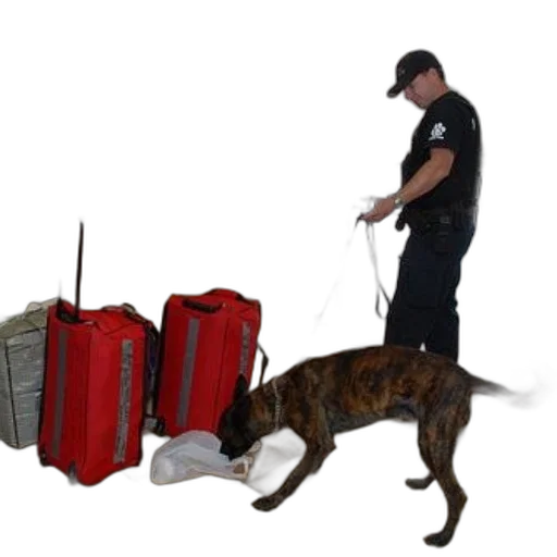 staff, police, officer, dog transparent PNG cut-out