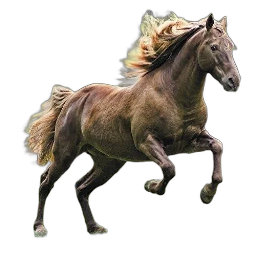 animal, creature, dragon, hair transparent PNG cut-out