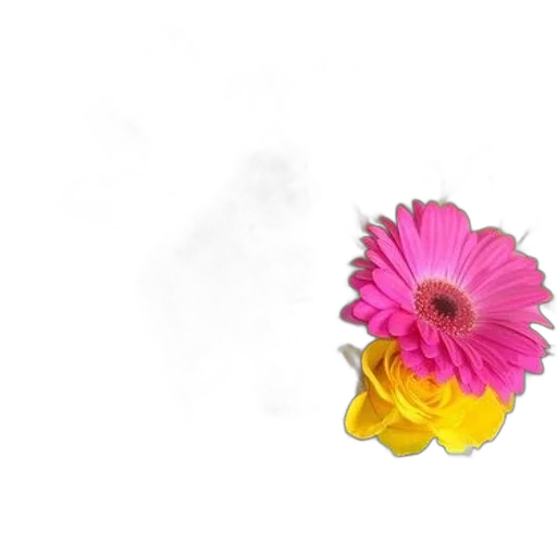 flower, jewelry, crown, dress transparent PNG cut-out