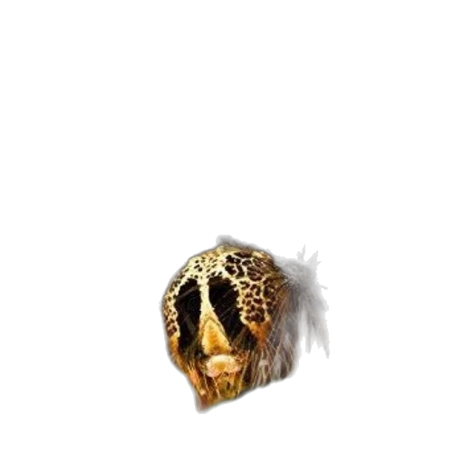 jewelry, crown, mask, hair transparent PNG cut-out
