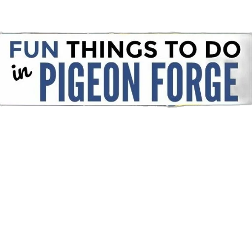 furniture, fun, things, pigeon transparent PNG cut-out