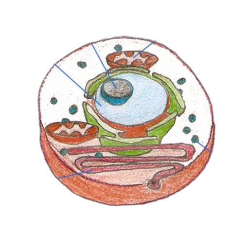 food, jewelry, crown, staff transparent PNG cut-out
