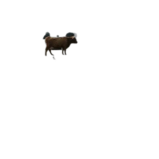 animal, creature, robot, staff transparent PNG cut-out