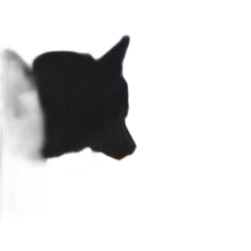 animal, mask, face, hat transparent PNG cut-out