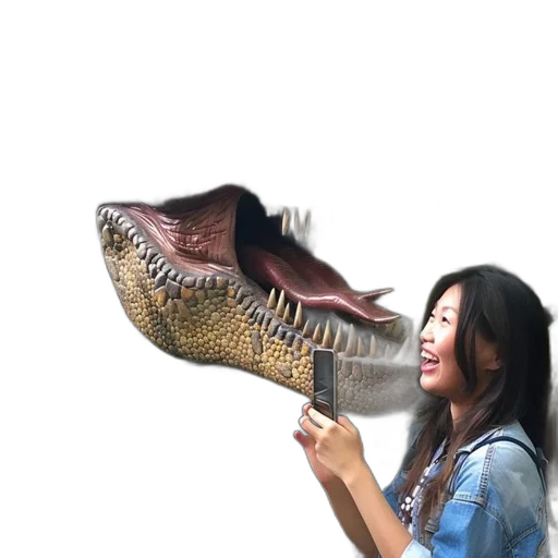 creature, dragon, animal, shoes transparent PNG cut-out
