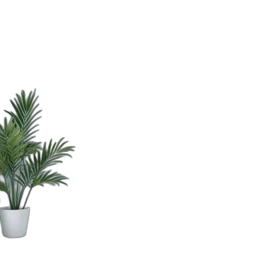 tree, crown, 3d render, photorealistic transparent PNG cut-out