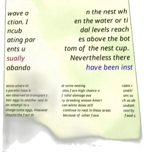 bird, nest, shown, text transparent PNG cut-out