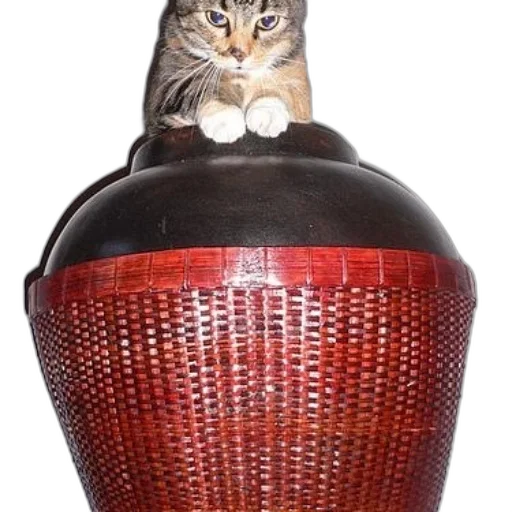 hat, crown, bottle, furniture transparent PNG cut-out