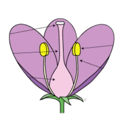 flower, jewelry, crown, staff transparent PNG cut-out