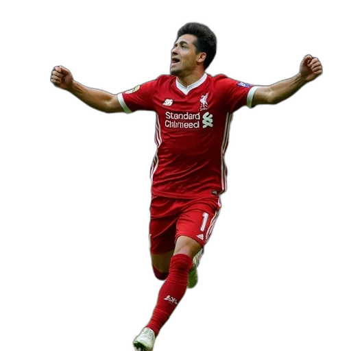 animal, liverpool, manchester, city transparent PNG cut-out