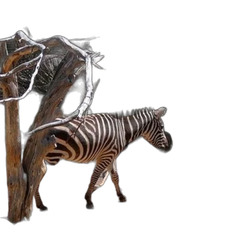 animal, furniture, 3d render, concept art transparent PNG cut-out