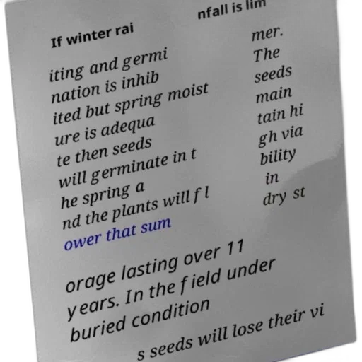 food, text-based, image, discussing transparent PNG cut-out