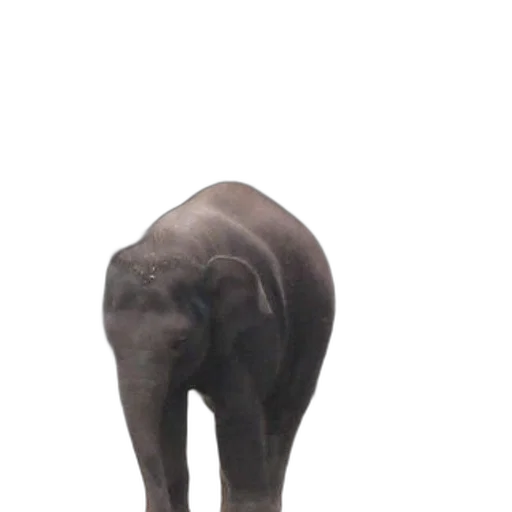 animal, creature, hat, staff transparent PNG cut-out