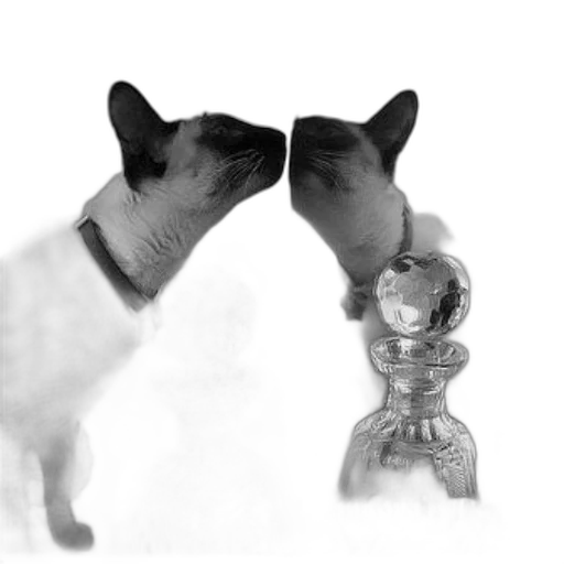 bottle, robot, animal, mask transparent PNG cut-out