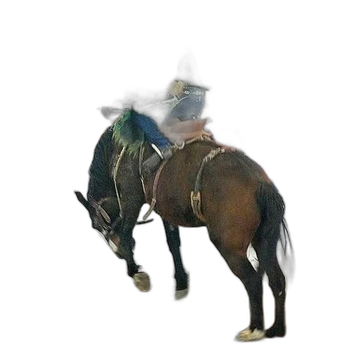 hat, animal, staff, robot transparent PNG cut-out