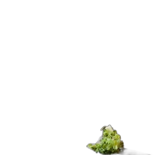 food, creature, animal, staff transparent PNG cut-out