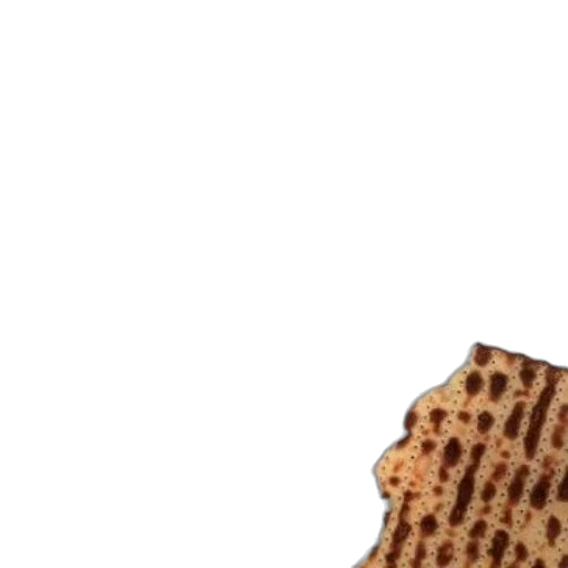 food, hat, shoes, animal transparent PNG cut-out