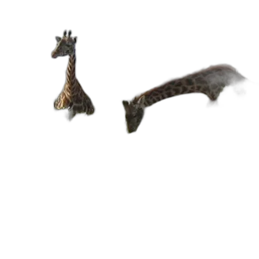 animal, dragon, creature, staff transparent PNG cut-out
