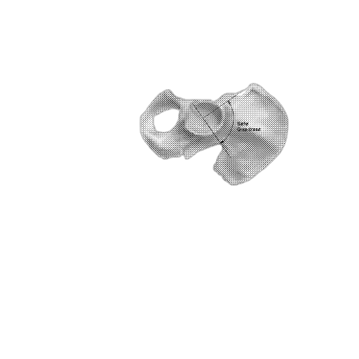 jewelry, mask, weapon, flower transparent PNG cut-out