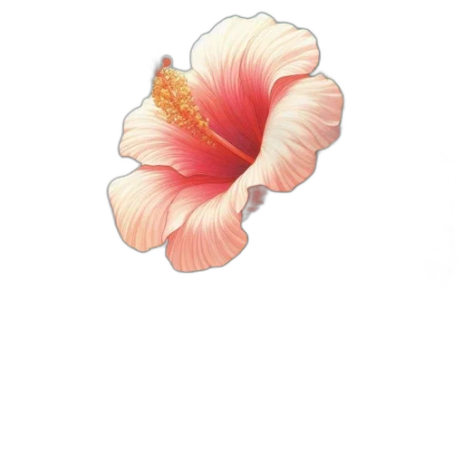 flower, crown, jewelry, hair transparent PNG cut-out
