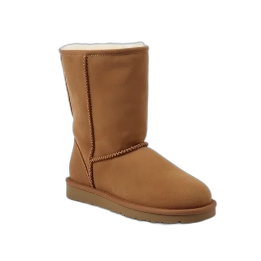 shoes, ugg, australia, boot transparent PNG cut-out