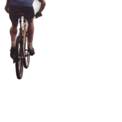 animal, creature, 3d render, photorealistic transparent PNG cut-out