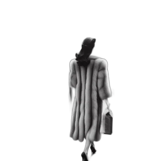 jacket, hat, dress, staff transparent PNG cut-out