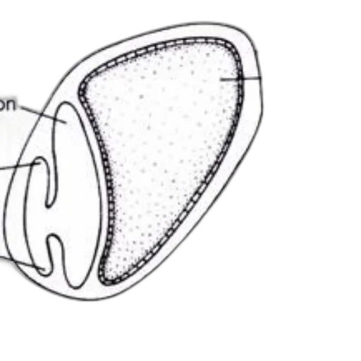 jewelry, crown, mask, hat transparent PNG cut-out