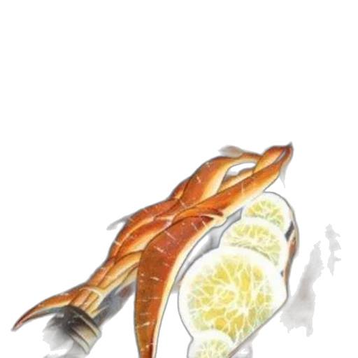 food, staff, shoes, weapon transparent PNG cut-out