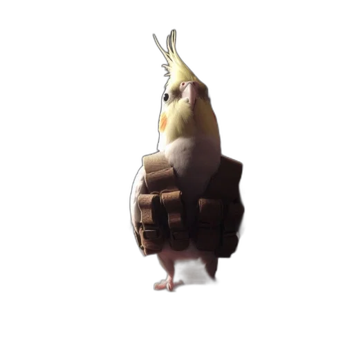 animal, staff, creature, weapon transparent PNG cut-out