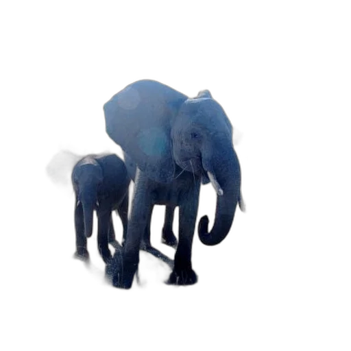animal, creature, staff, umbrella transparent PNG cut-out
