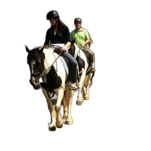 staff, animal, photorealistic, 3d render transparent PNG cut-out