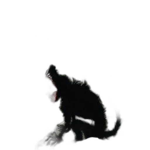 creature, animal, staff, dragon transparent PNG cut-out