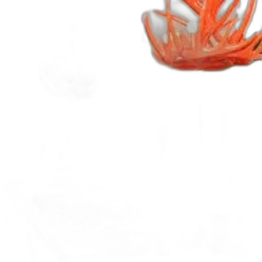 crown, flower, hair, creature transparent PNG cut-out
