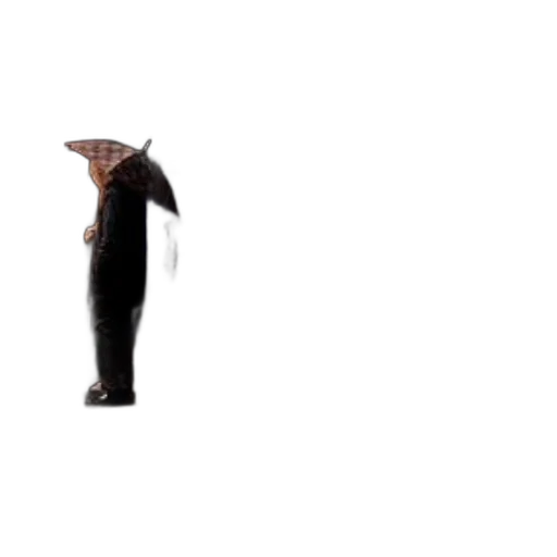 umbrella, hat, animal, creature transparent PNG cut-out