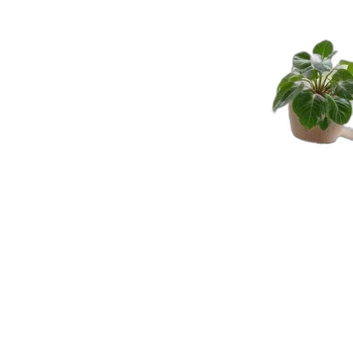 flower, crown, creature, robot transparent PNG cut-out