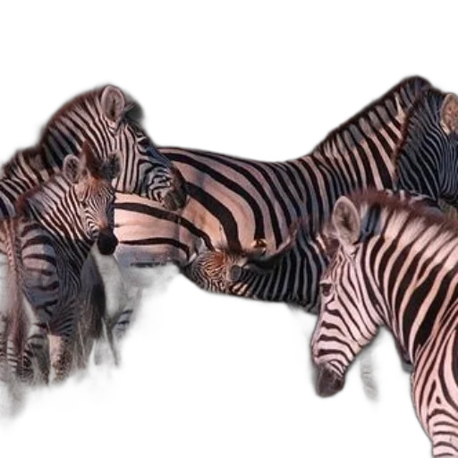 animal, creature, shoes, mask transparent PNG cut-out