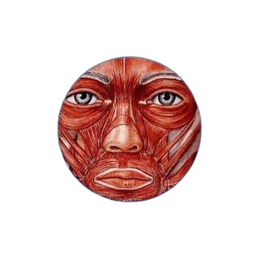 mask, face, creature, jewelry transparent PNG cut-out