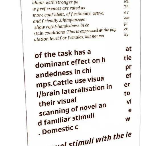 furniture, text-based, image, discussing transparent PNG cut-out