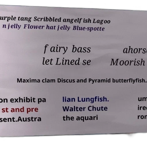 variety, fish, species, including transparent PNG cut-out