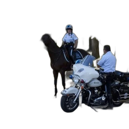animal, car, weapon, staff transparent PNG cut-out