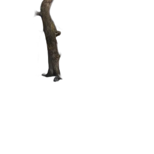 staff, weapon, sword, creature transparent PNG cut-out