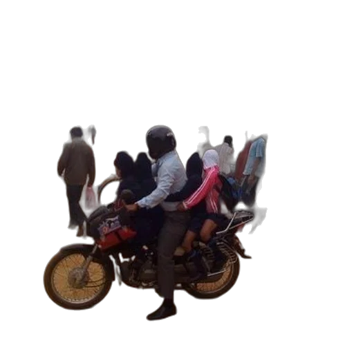 car, jacket, mask, animal transparent PNG cut-out